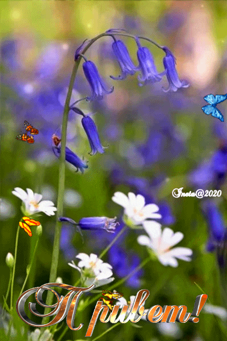 ezgif-3-a714f9ff2a48 (1)