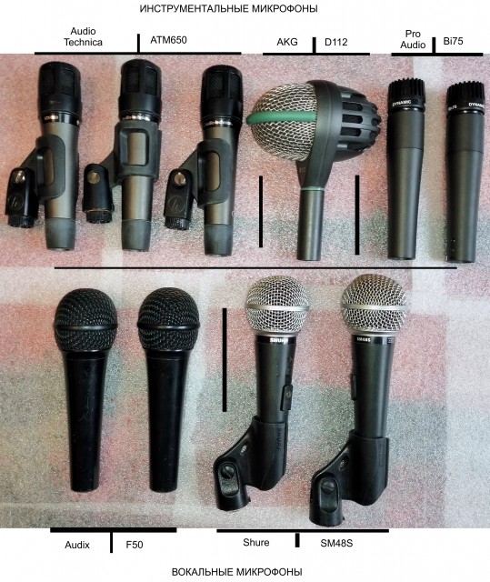 Microphone