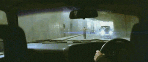 rabbit in your headlights