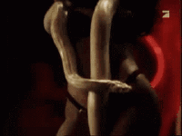 fishka_kino_gifka_034