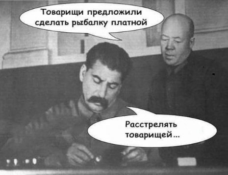271117633.p.800.800.0
