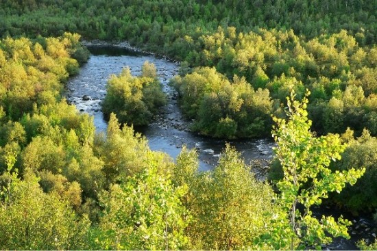 р.Ваенга