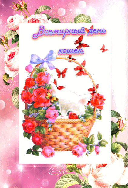 ezgif-7-18ead609da8b (1)