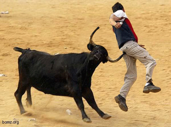 155540-2011.05.03-05.46.57-bomz