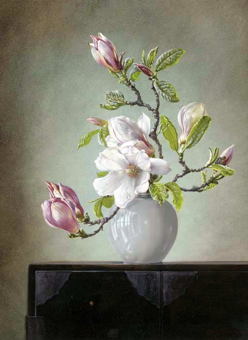 Magnolia