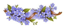 5565718_vinflore44