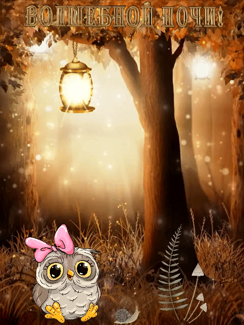 ezgif-2-20d54063e31d