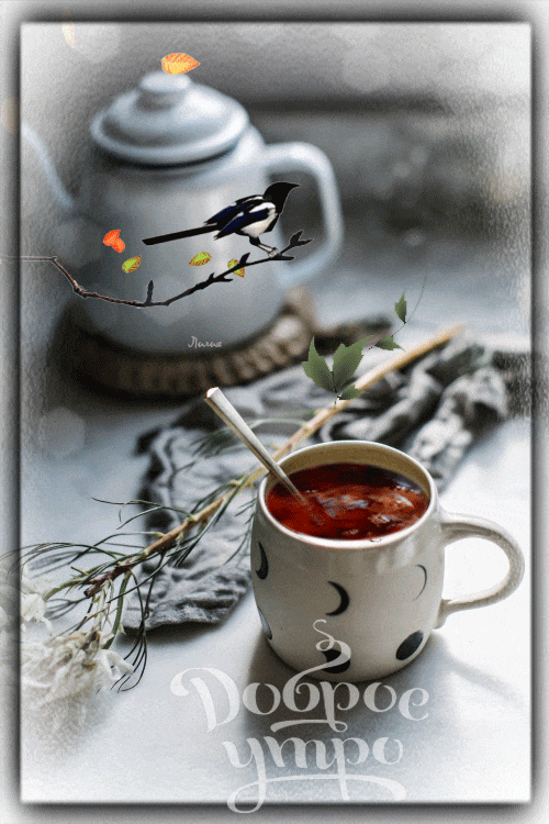 9be324b74a0df3e43d44794a25bfaf4d