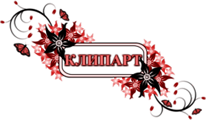 1кл