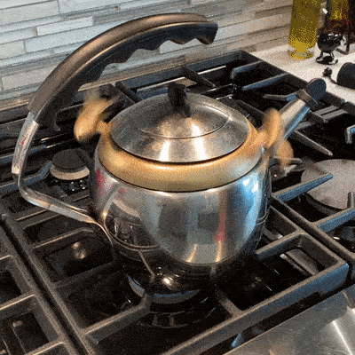 08fd085d3984210df939bb2eea