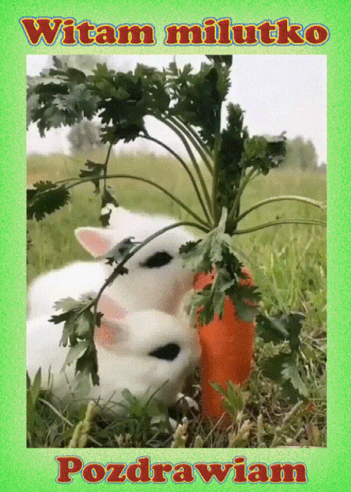 oie_1bojSq5ud1G4 (1)