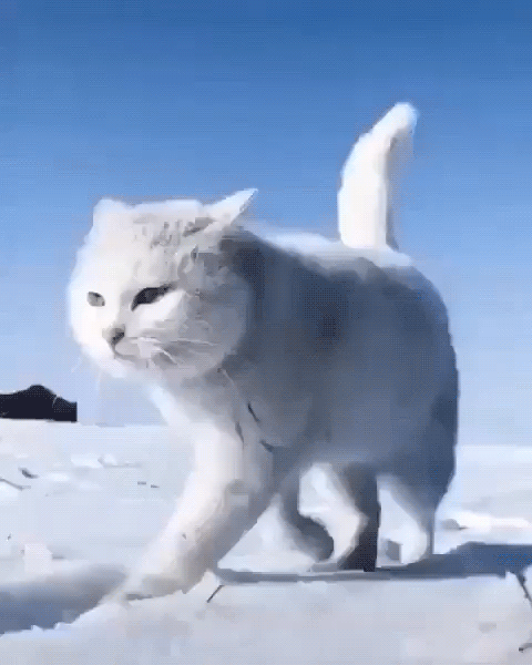 -1