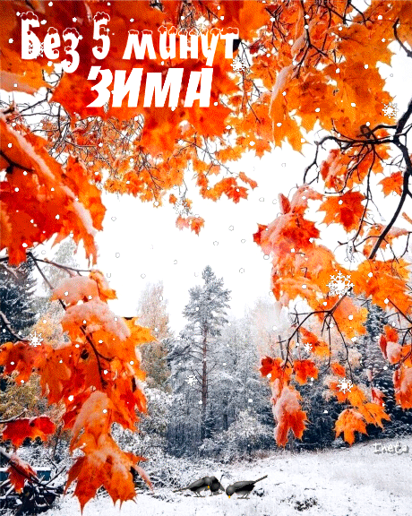 ezgif-1-a8df6358f5fa