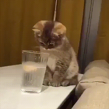 -лабораторную-работу-по-физике...