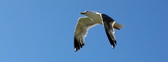 88cdd19838518fe8-large