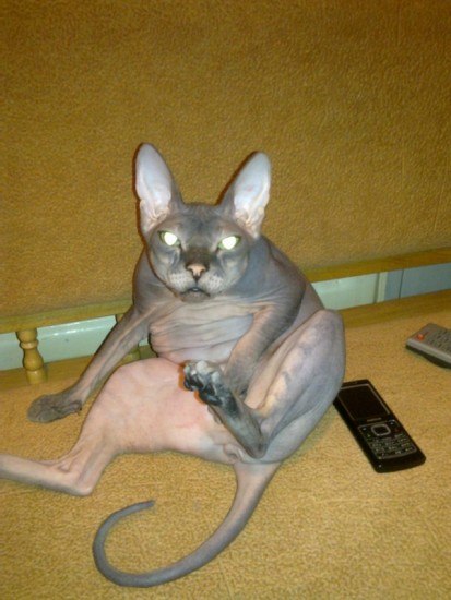 Фото0050 [800x600]