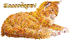 105702217