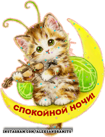 143350003_spokojnoj_nochi