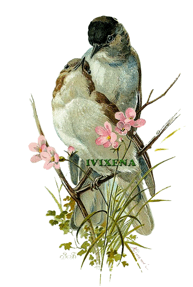 love podpis