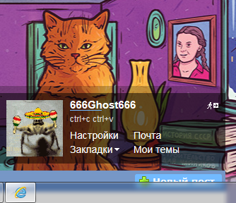 44353453454353