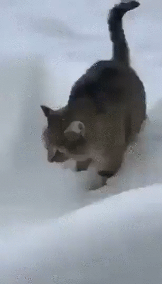 12203