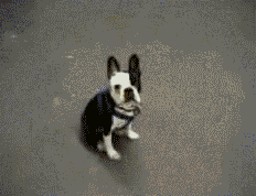 1305641766_286826_tumblrlkzn