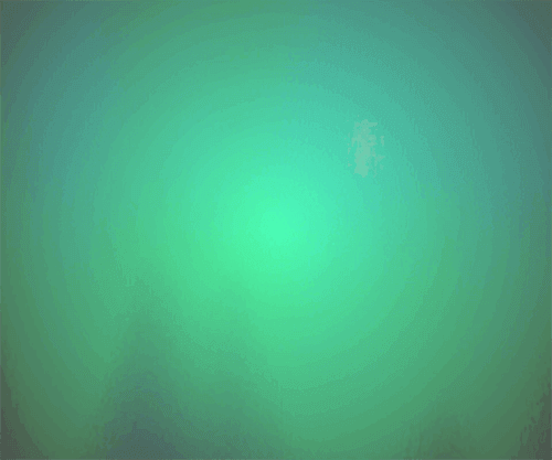 24 (1) (1) (1) (1) (1) (1)