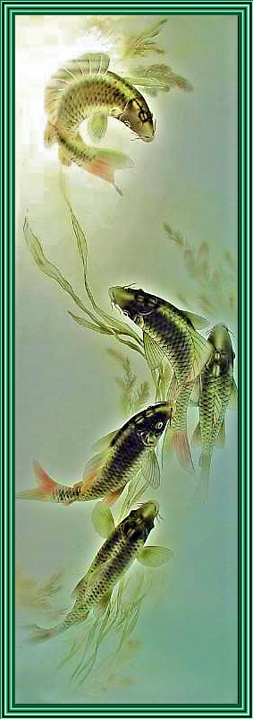 koiglass_yapfiles.ru
