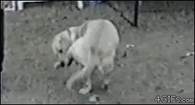 dg5ftt7