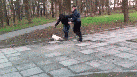 gif-funny-fight-34