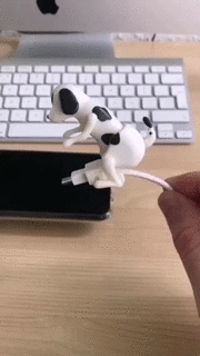dgchrgt2
