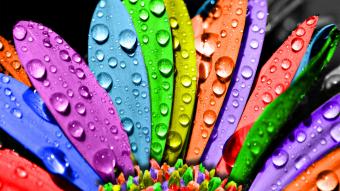 gandex.ru-17782_7341_aecff642b724376b1831e2c3dc5