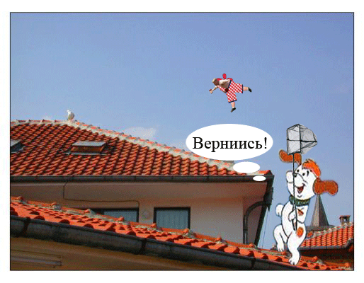 roof