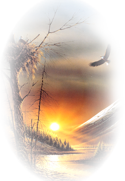 0_a57db_a0121004_XL