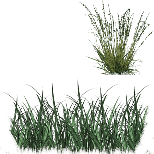 grass_01_M-min