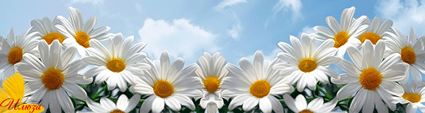 295a50b62aa94d62c100bfae9cf4a47a (2)