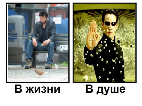 rivz