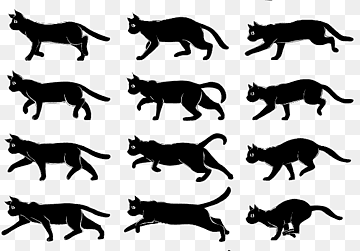 png-transparent-walk-cycle-animation-key-frame-drawing-film-frame-animation-mammal-cat-like-mammal-c
