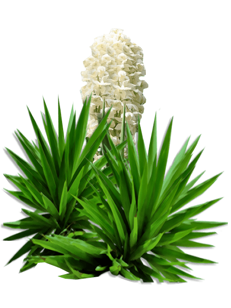 902762484-min