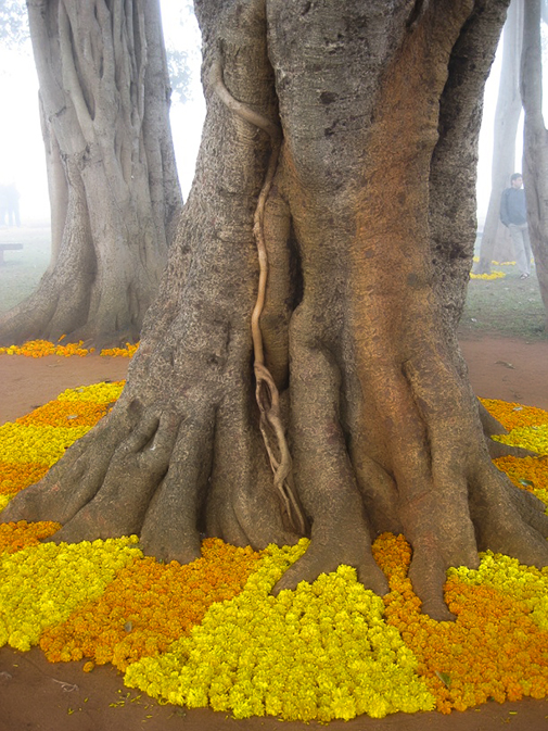 Auroville78