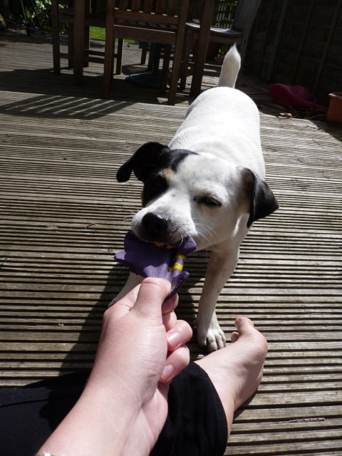 post-3-13075584049741