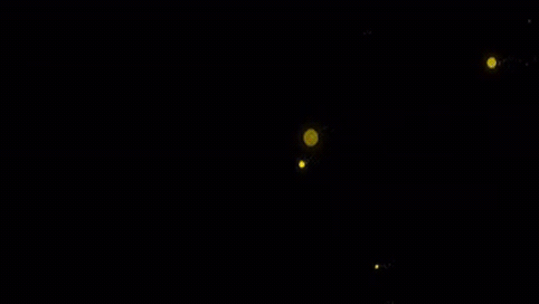 ezgif-7-9d38568577fd