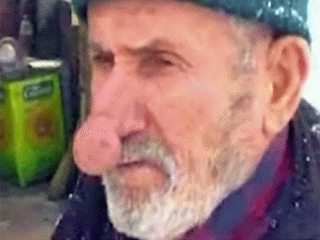 41371753_1237698196_0_78_7871_1203336757