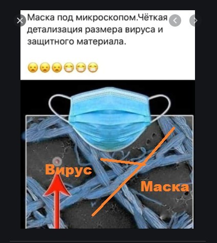 и вирусы