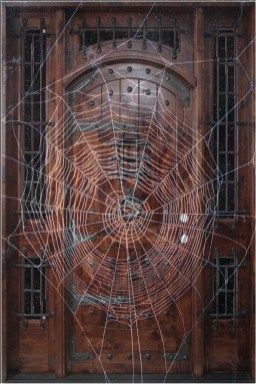 webbed