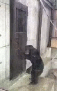 хочешь в туалет, а там уже занято