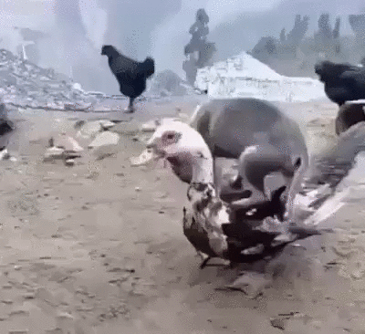 наконец-то нашёл удобное место, чтобы поспать