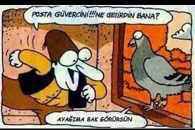 indir