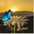 sembol Png.fw