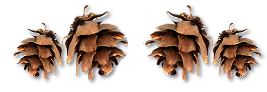 _6